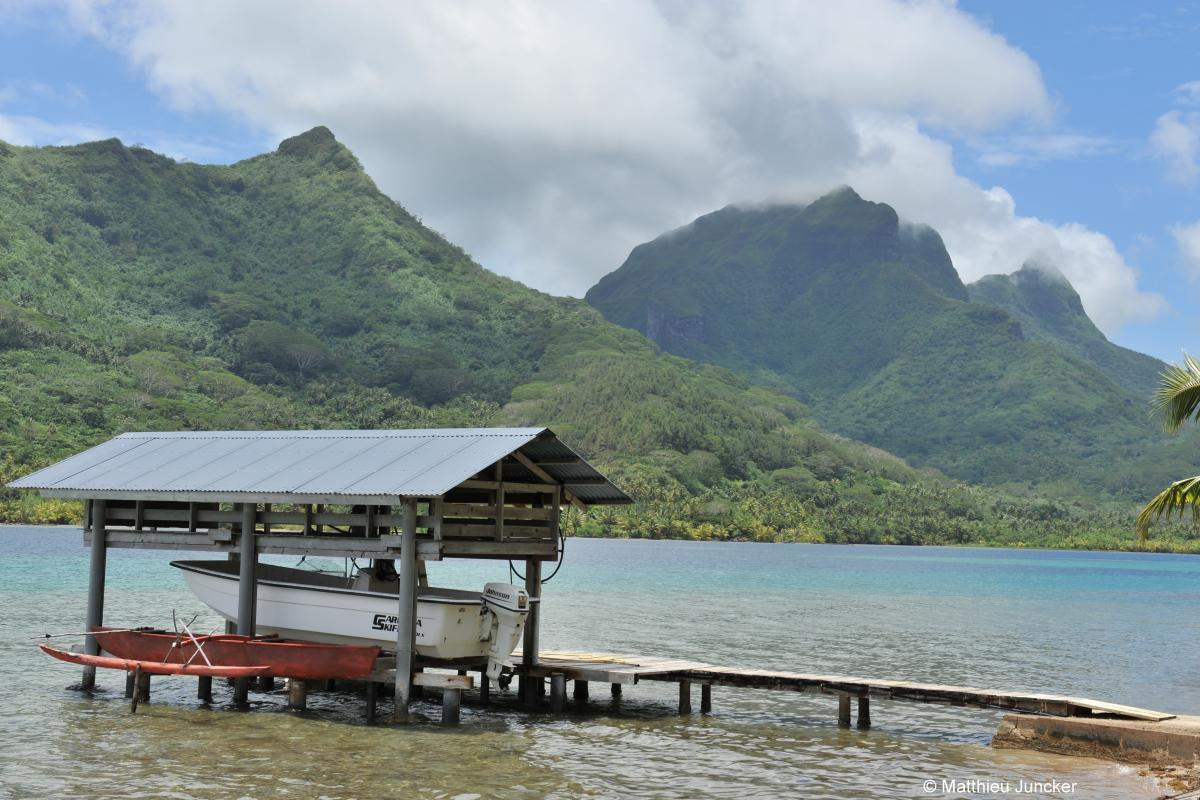 Aquaculture techniques that are sustainably integrated into natural settings and suited to island economies are trialled and implemented at pilot scales and then transferred to the rest of the Pacific