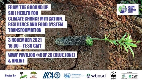 Conférence From the ground - COP 26
