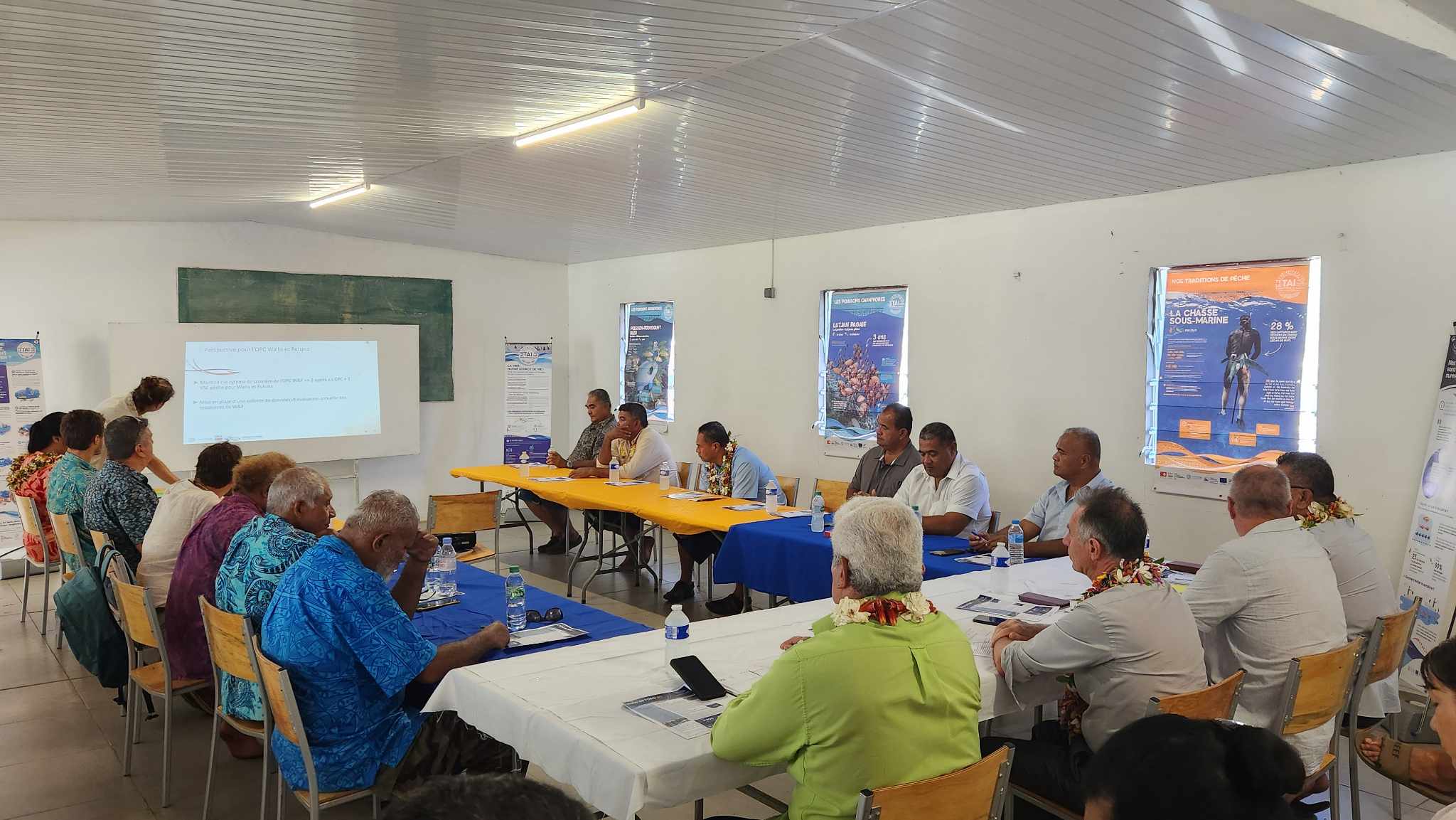 Comité des pêches - DSA - Wallis et Futuna