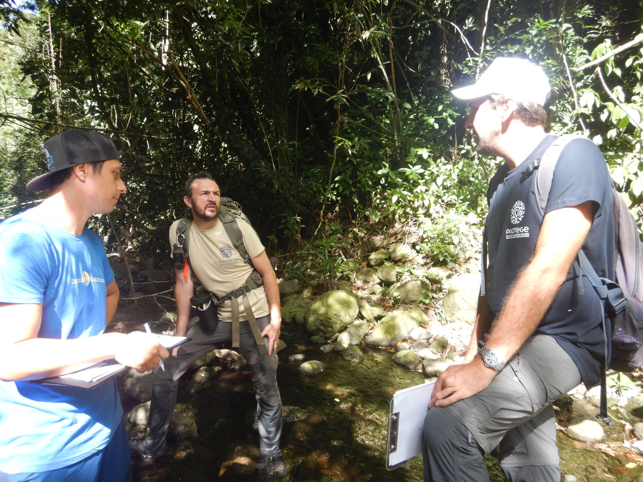 Direction de l'environnement de Polynésie française - revégétalisation des berges